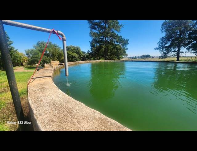 FARM FOR SALE IN WITFONTEIN